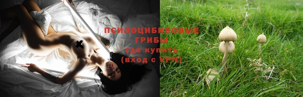 спайс Абаза
